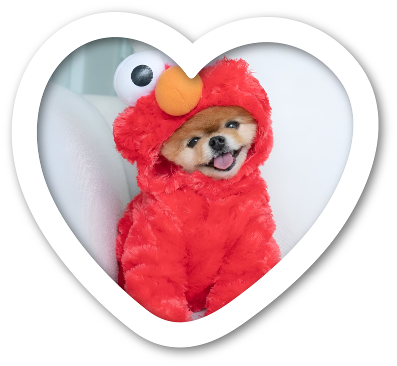 JIFFPAMPOM Heart